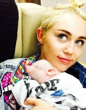 La-nueva-mascota-de-Miley-Cyrus