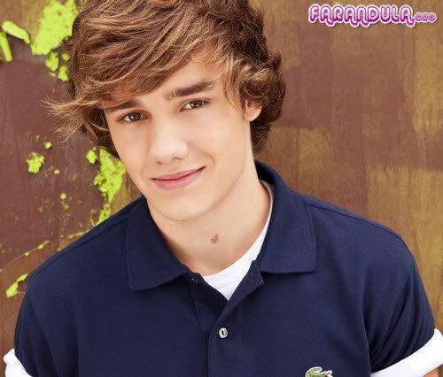 Liam Payne de One Direction (Biografía)